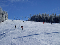 ski telgart